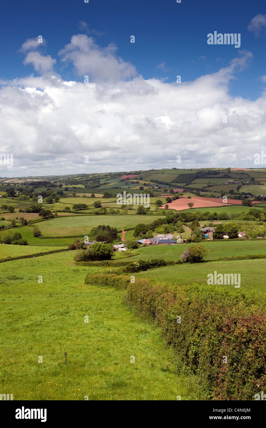 Rolling Devon countryside near Stockleigh Pomeroy - Tiverton. Stock Photo