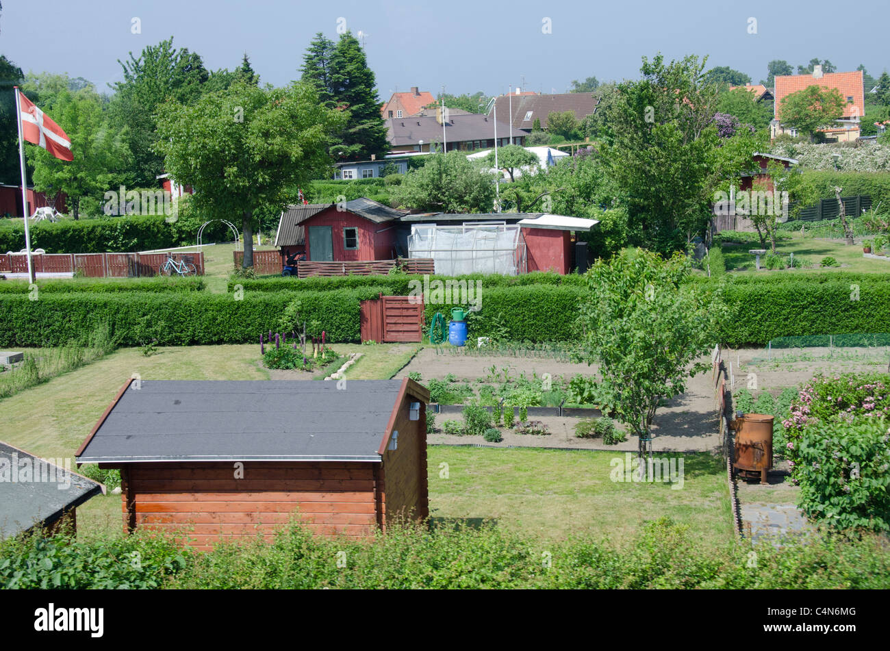 Denmark, Island of Bornholm, Ronne. Typical community gardens (aka Victory Garden). Stock Photo