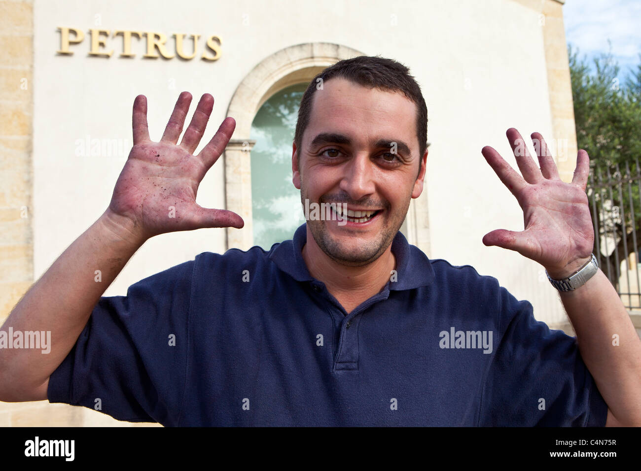 Oenologist Jean Claude Berrouet shows grape-stained hands at Petrus, Pomerol in the Bordeaux wine region of France Stock Photo