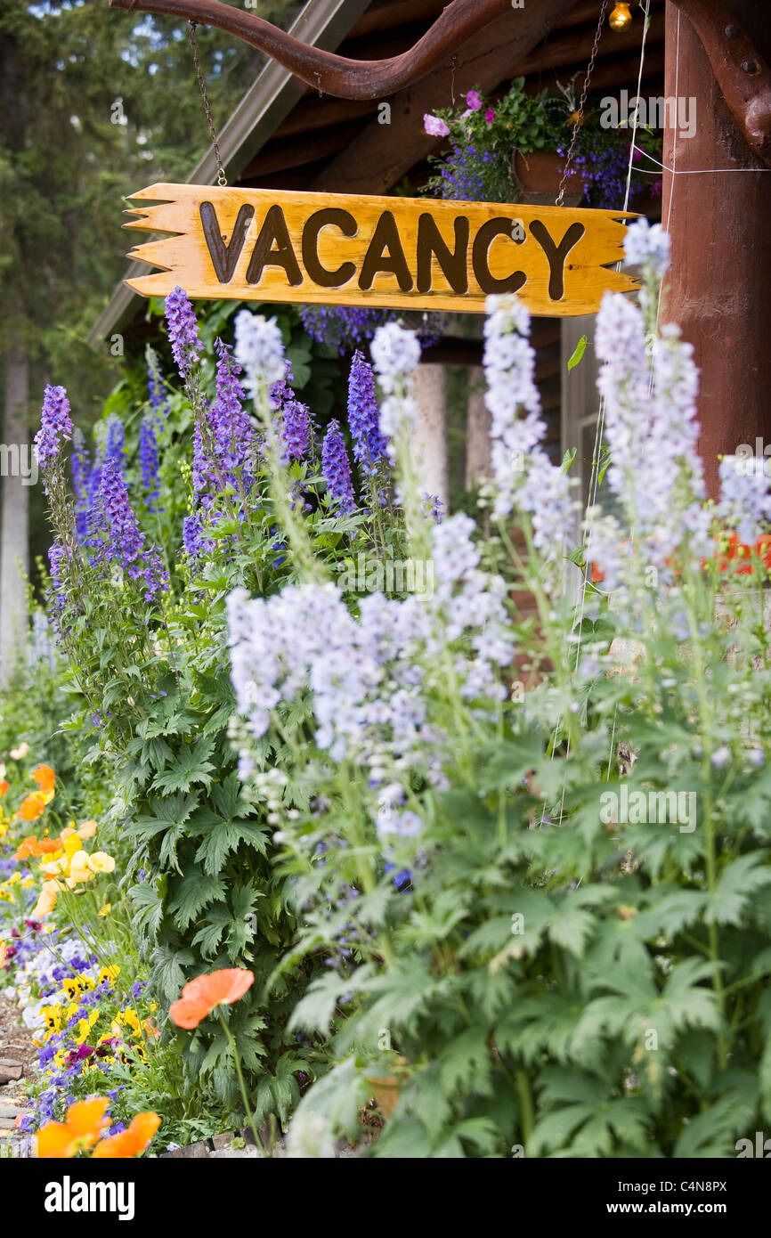 Vacancy sign over flowering shrubs, Lake Louise, Banff National Park, Alberta, canada Stock Photo