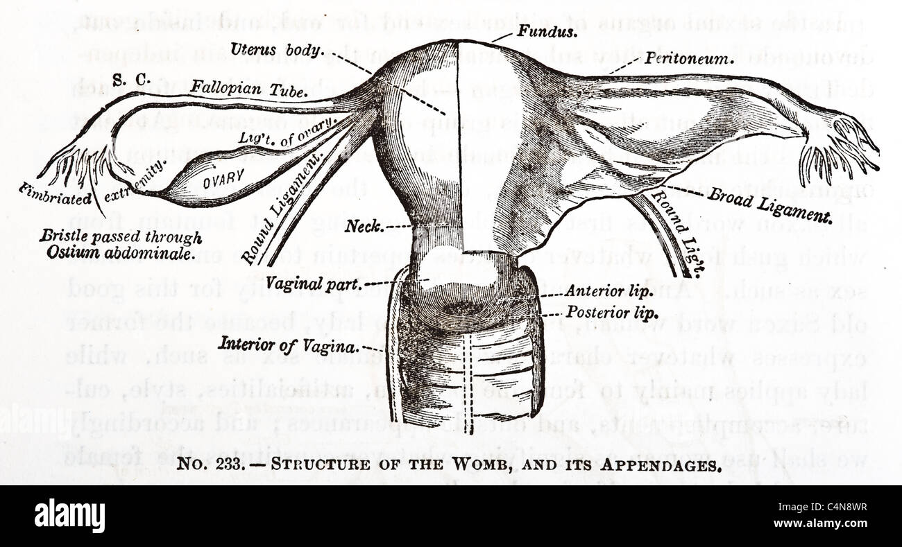 Autopsy Inside Human Body