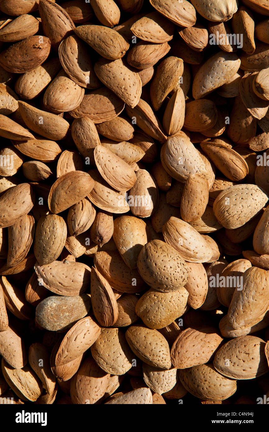 Fresh almonds on sale at food market in Bordeaux region of France Stock