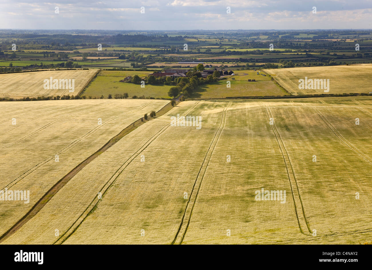 Barley Fields from Ivinghoe Beacon Chiltern Hills Bucks Stock Photo Alamy