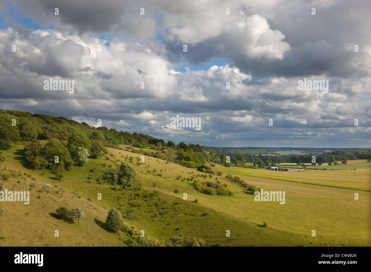 Down Farm Aldbury from Ivinghoe hills Chilterns Buckinghamshire Stock Photo