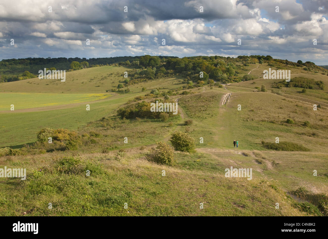 The Ridgeway Long distance path at Ivinghoe Beacon in the Chiltern Hills Buckinghamshire Stock Photo