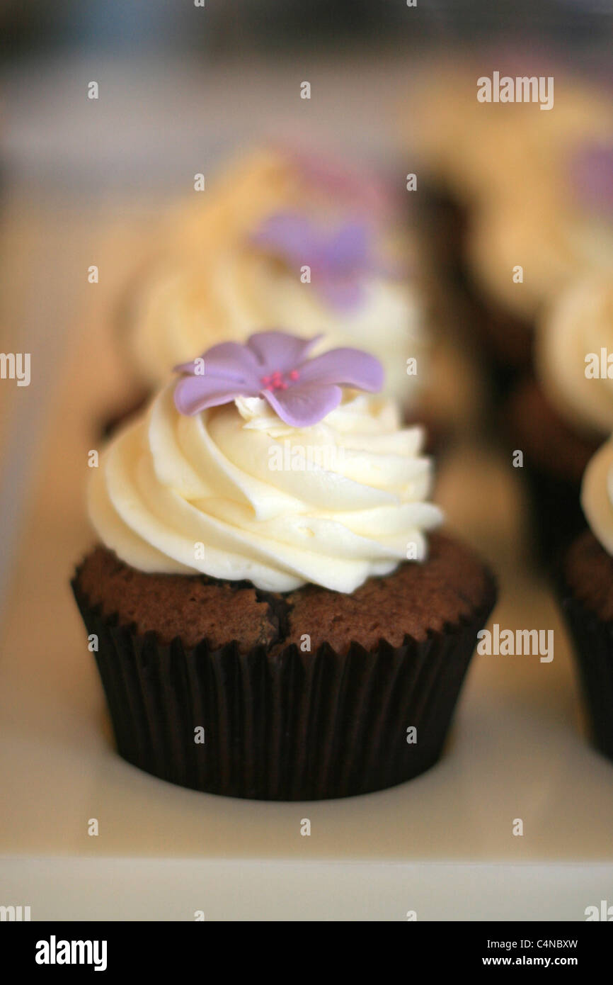 a row of cupcakes in a bakery in Pimlico, London Stock Photo