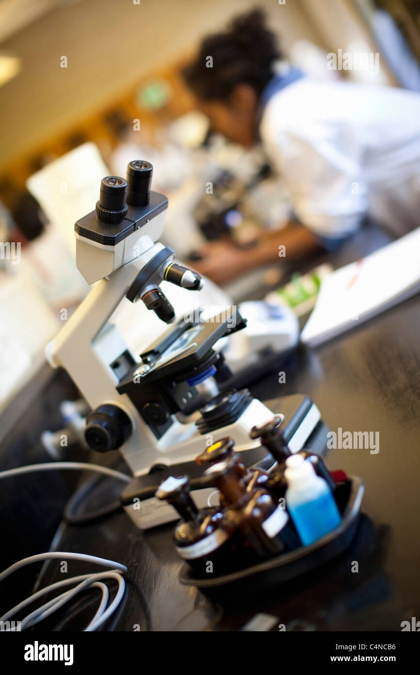 Microscope in a lab Stock Photo - Alamy