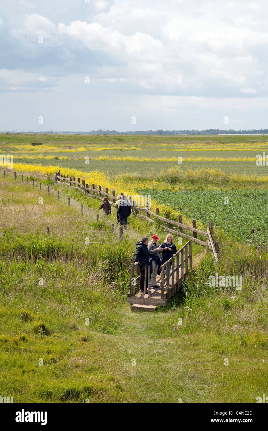 People walking the Suffolk Coast Path at Orford , Suffolk UK Stock
