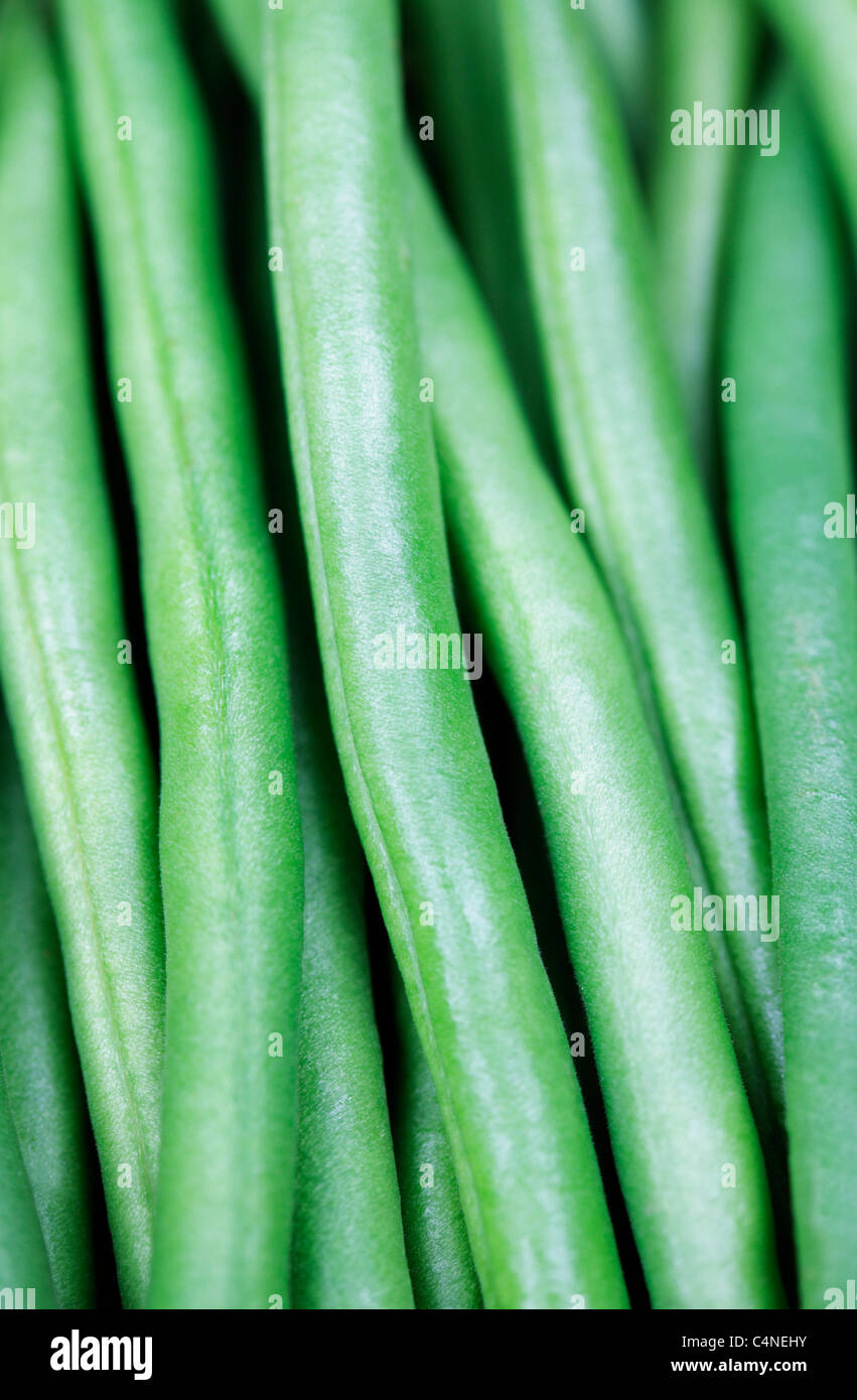 Green Beans Phaseolus vulgaris Stock Photo