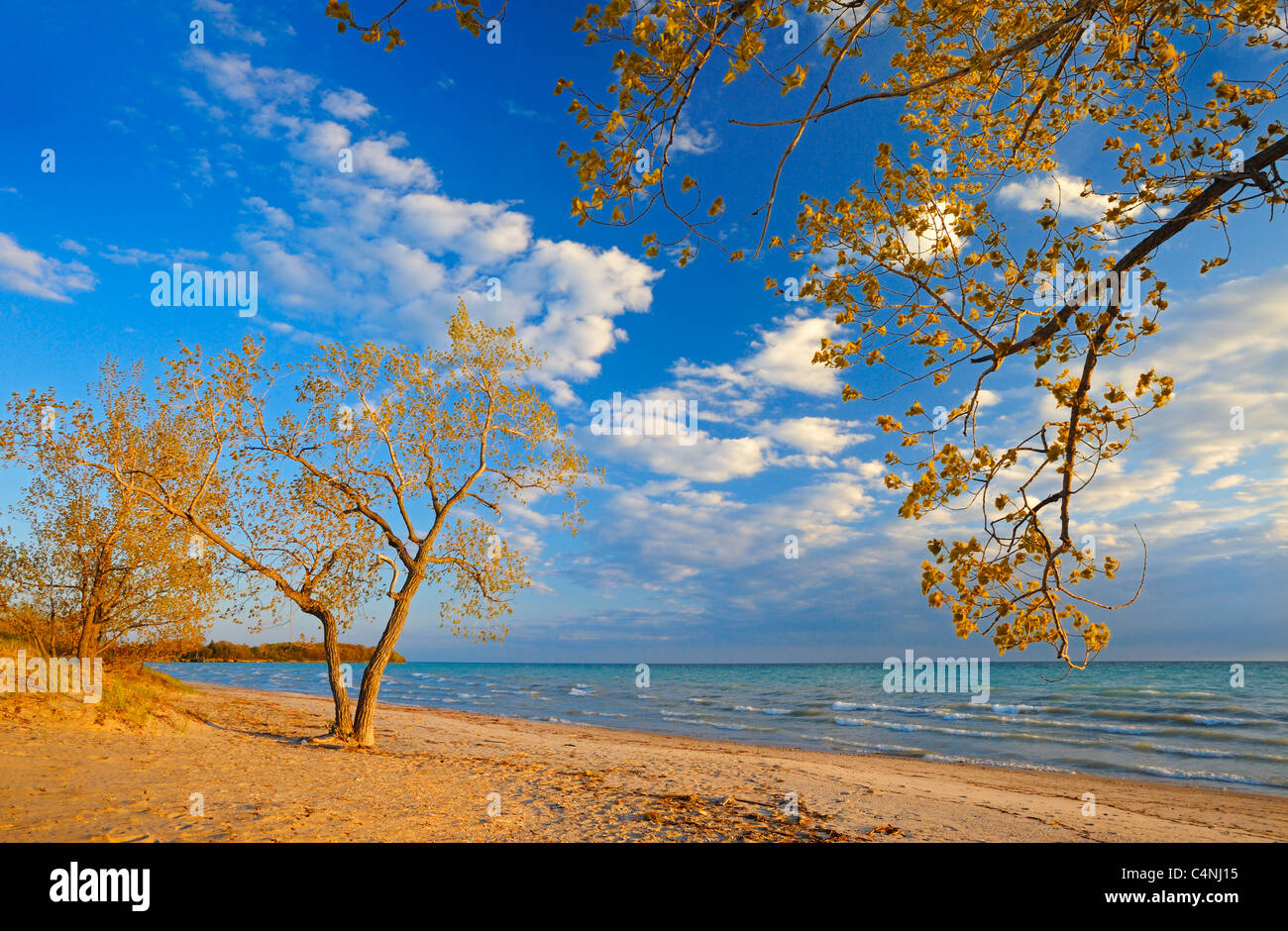 Beach at Sandbanks Provincial Park, Ontario, Canada Stock Photo Alamy