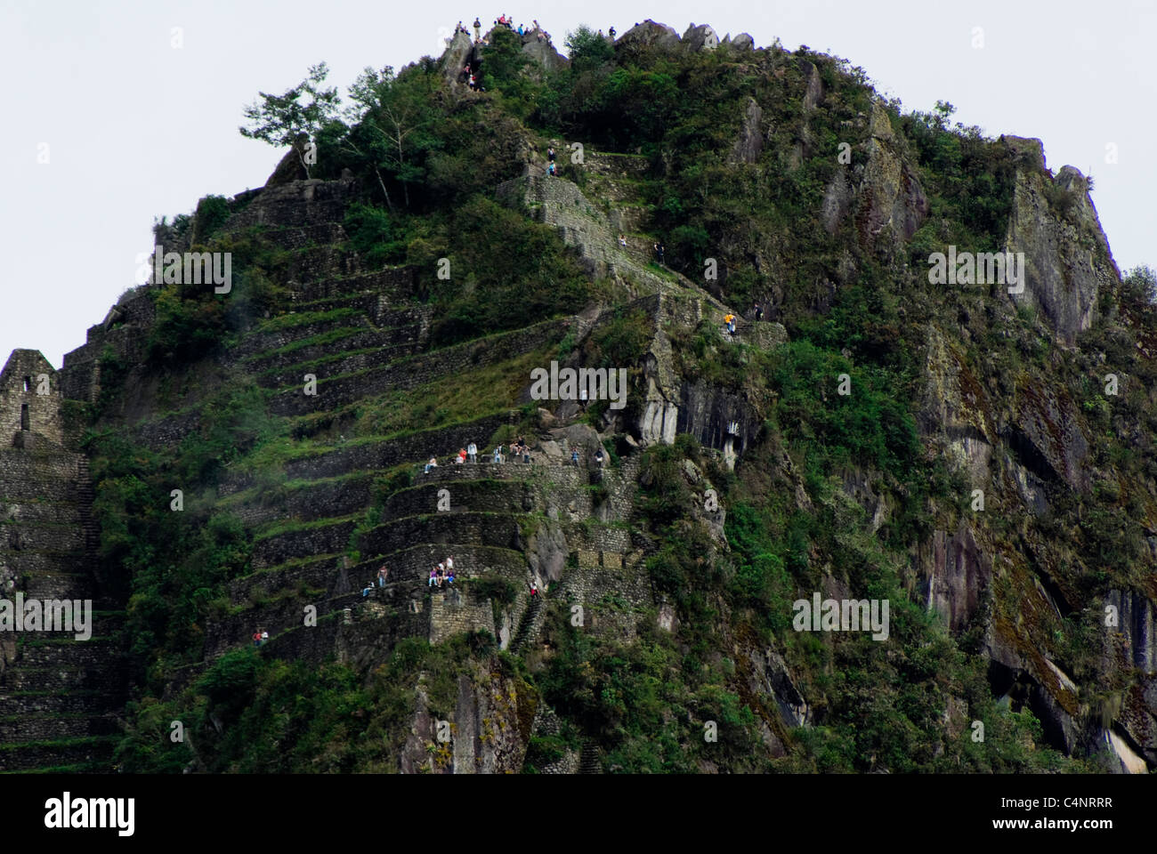 Early morning climbers ascend Wayna Picchu mountain, Machu Picchu, Peru Stock Photo