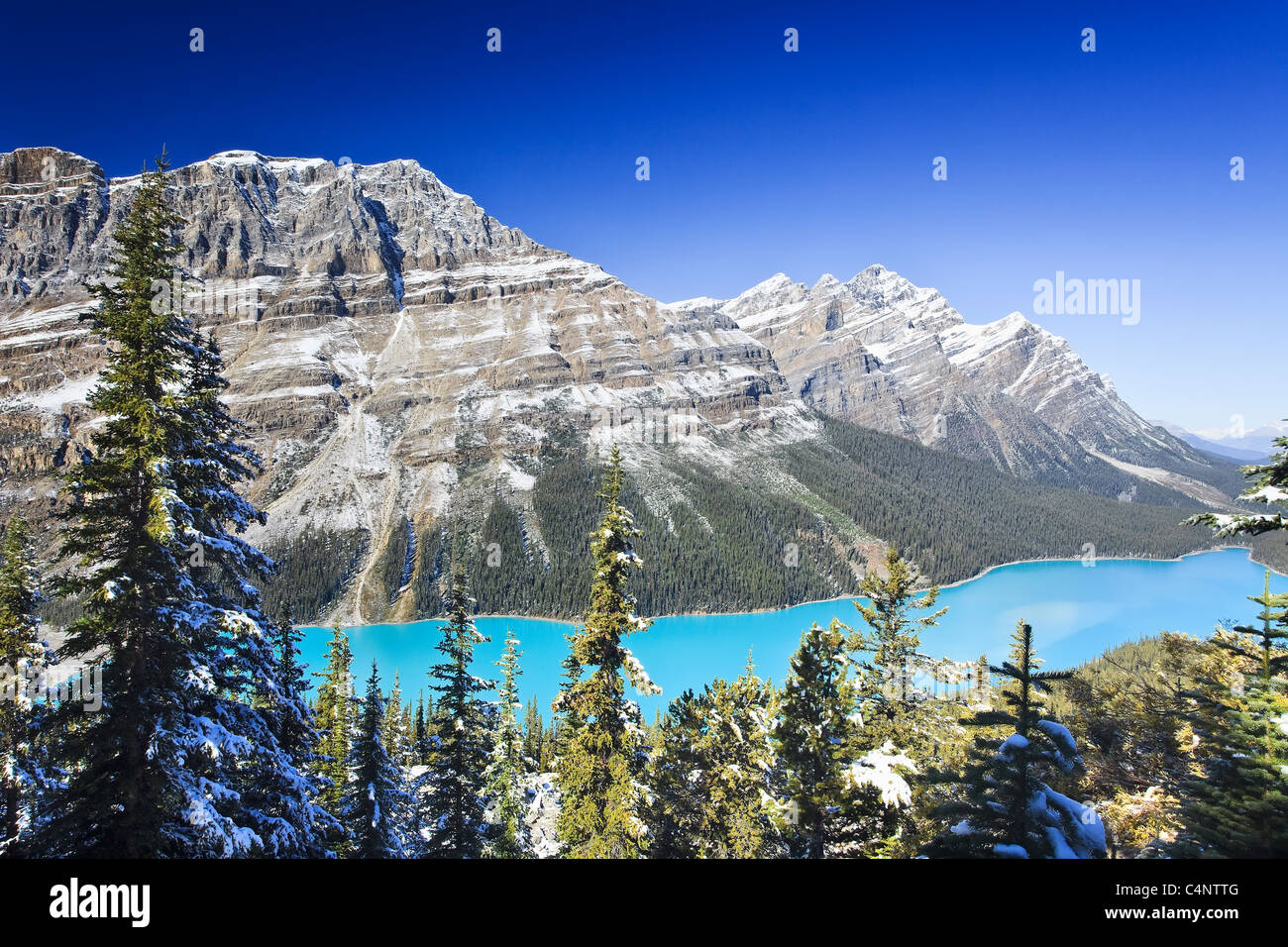 Banff national park peyto lake alberta no people hi-res stock ...