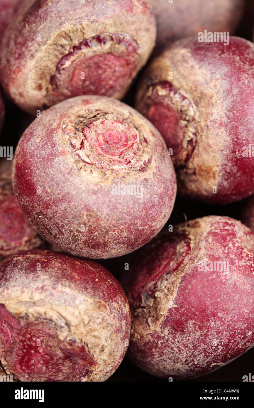 Beetroots hi-res stock photography and images - Alamy
