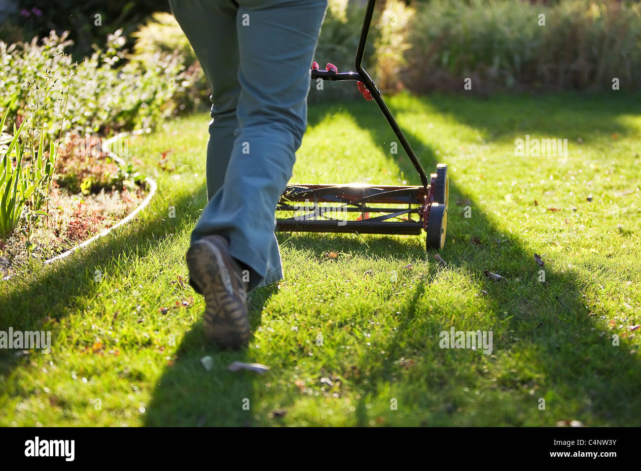 Woman cutting grass with an environmentally friendly push lawn mower. Winnipeg, Manitoba, Canada