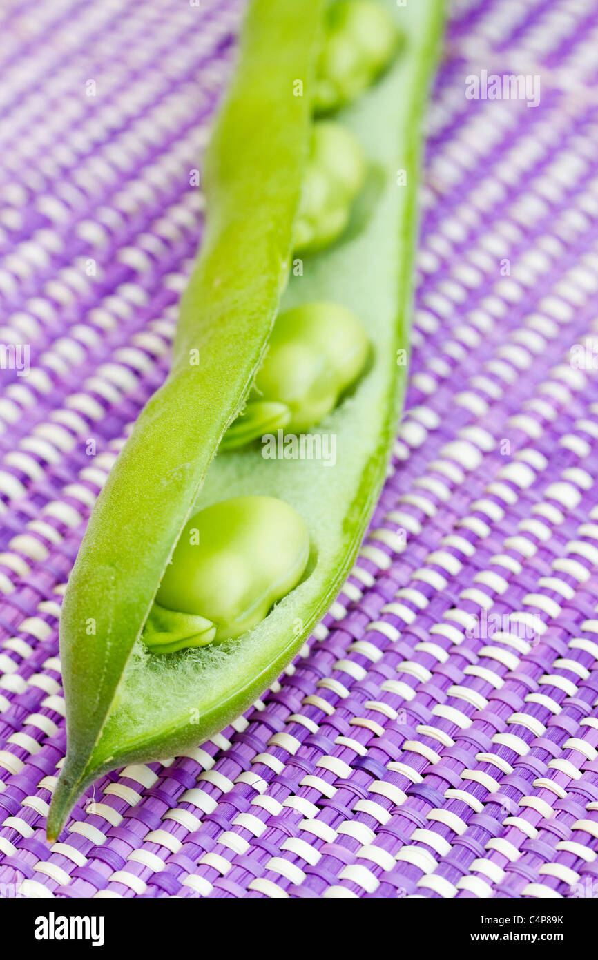 Broad bean pod Stock Photo Alamy
