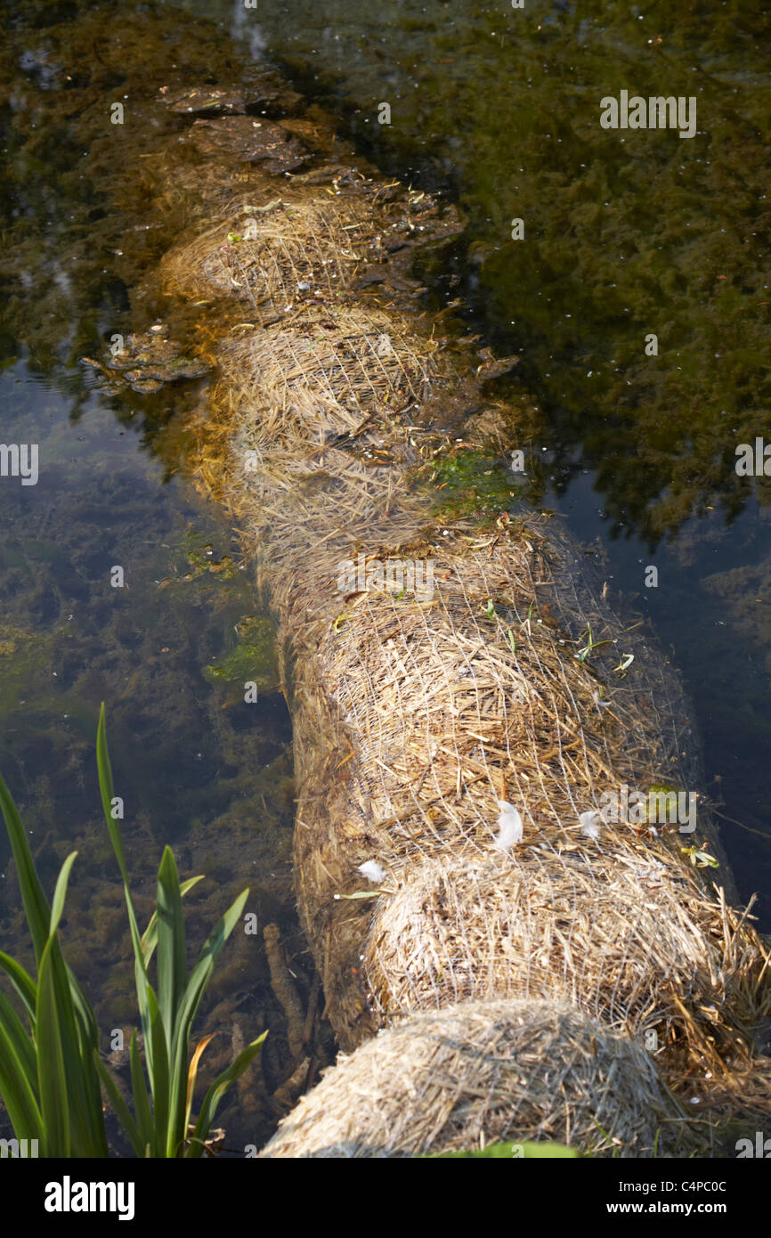 Keeping the pond clean hires stock photography and images Alamy