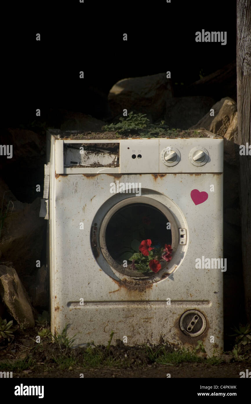 Flowers grow inside a broken washing machine blocking the door of an
