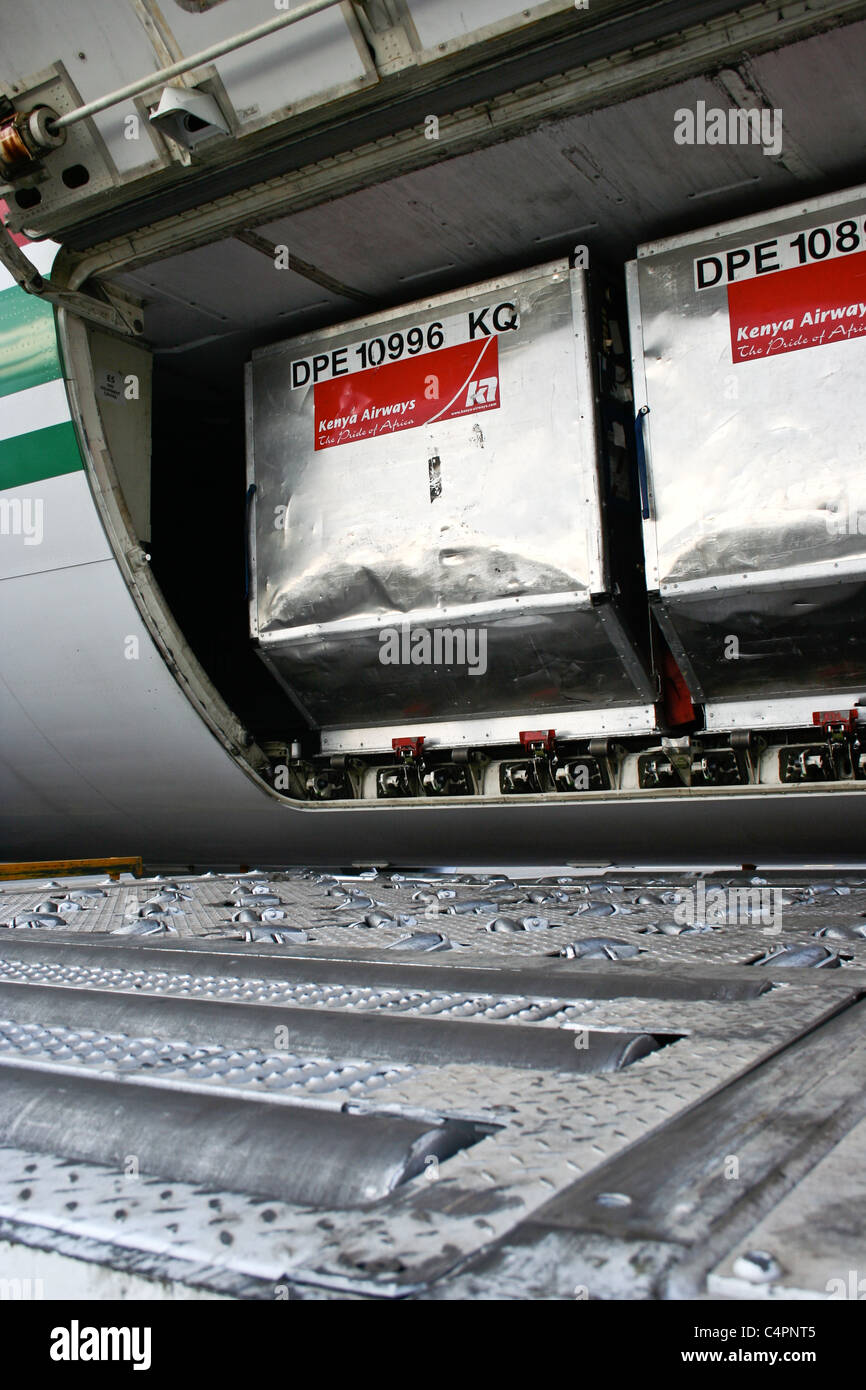Kenya Airways plane cargo hold baggage hold Stock Photo Alamy