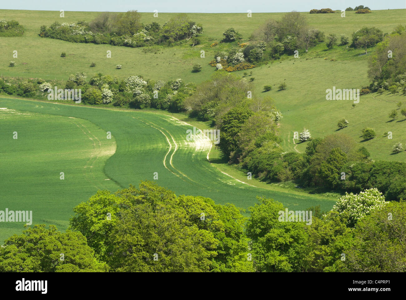 A view to East Hill from Summer Down near to Devil's Dyke in the South Downs National Park. Stock Photo