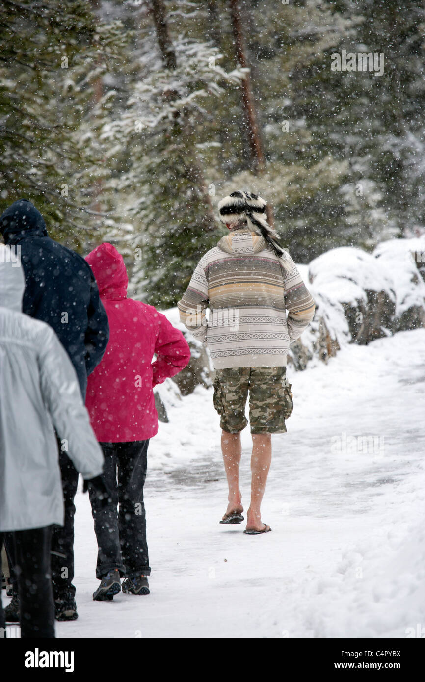 Eccentric Man Wearing Shorts and Flip Flops in a Snow Storm Stock Photo