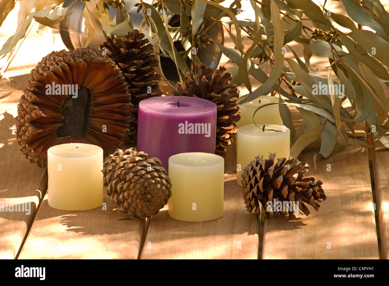 Fragrant candles with pine cones and dried eucalyptus leaves Stock