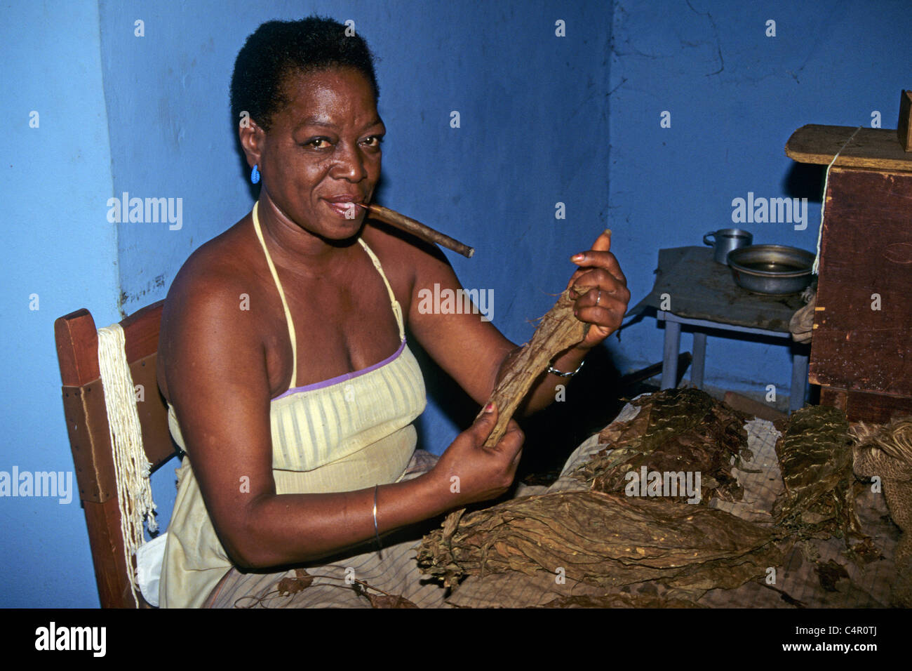 Cuban woman working in a cigar factory, Pinar del Rio, Habana, Cuba, Caribbean Stock Photo