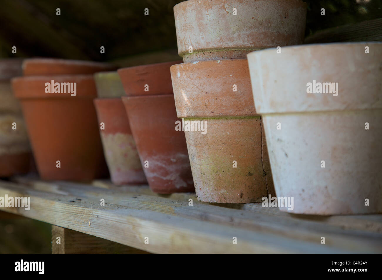 A row of clay flower pots in a garden shed Stock Photo Alamy