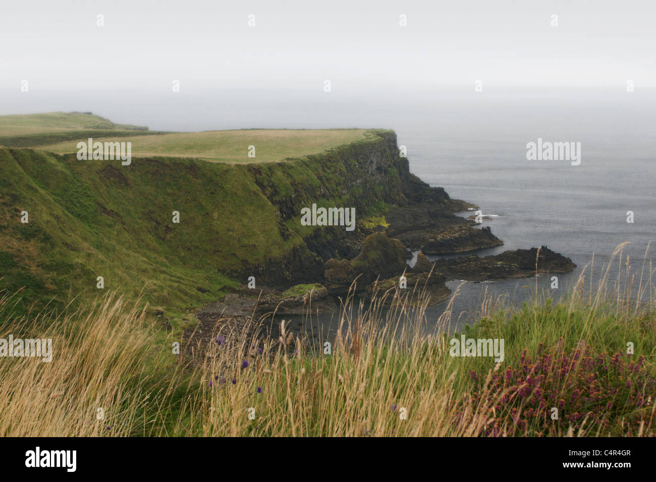 Giant's Causeway, Bushmills, County Antrim, Northern Ireland Stock ...