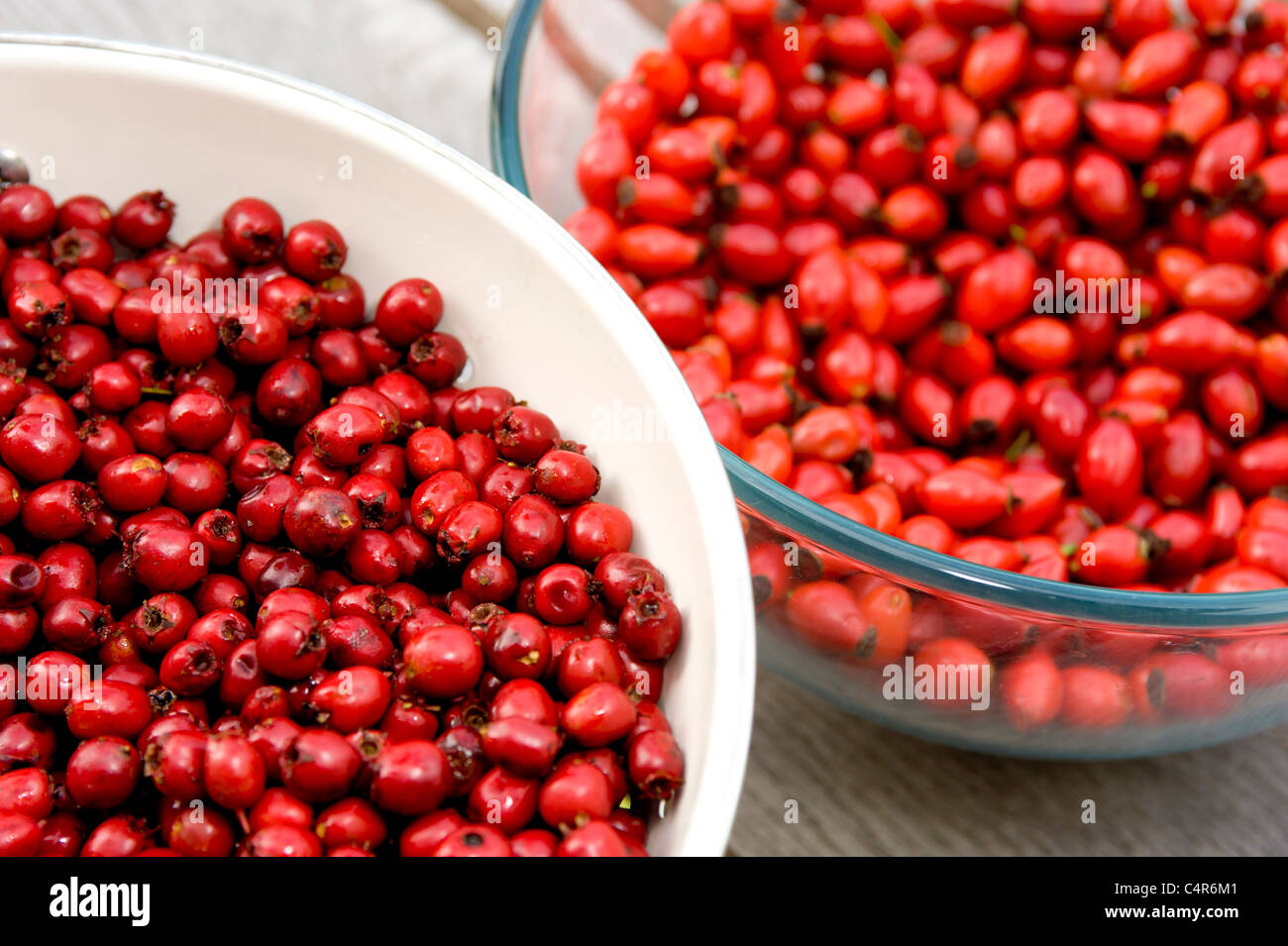 Harvested rose hip and haw berries. Stock Photo