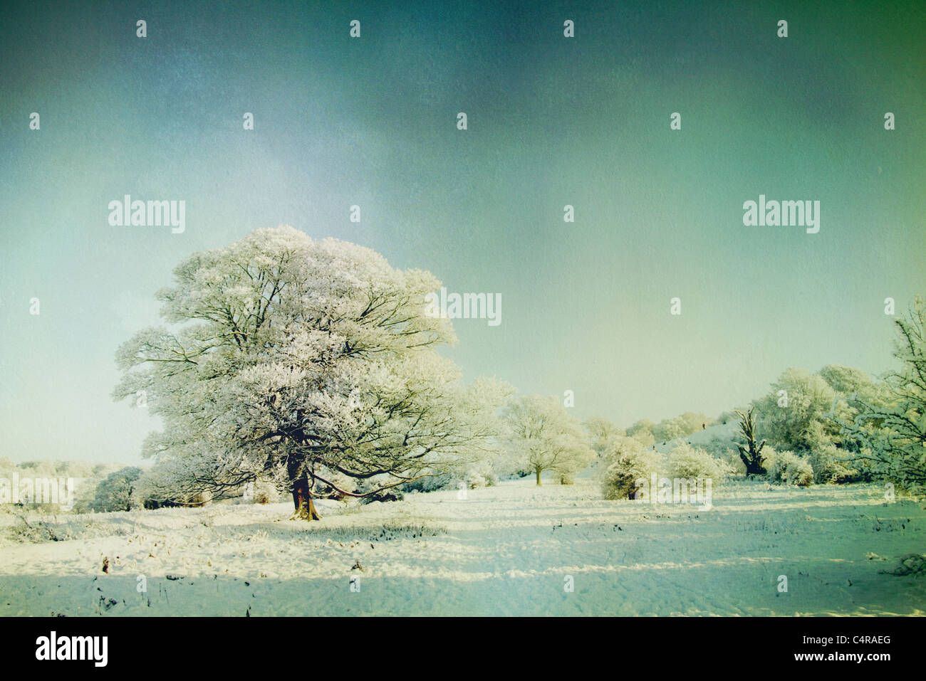 snow covered landscape Stock Photo