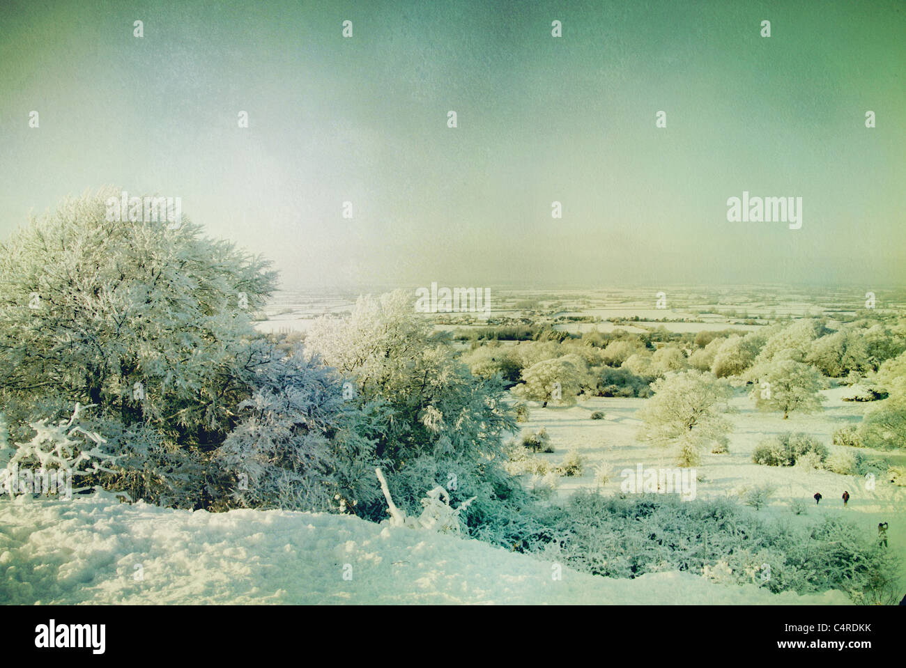 winter landscape Stock Photo