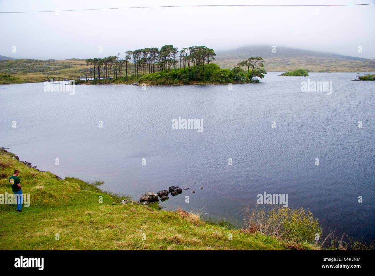 A small island which hosts the now rare trees which are native to Ireland Stock Photo