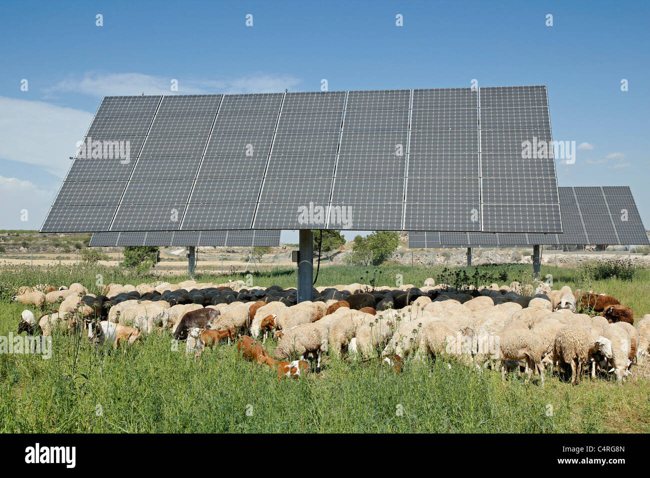 Farm solar panel crops hi-res stock photography and images - Alamy