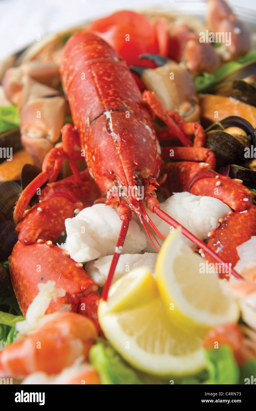 Seafood platter lobster prawn shrimp lemon garnish fresh Stock Photo