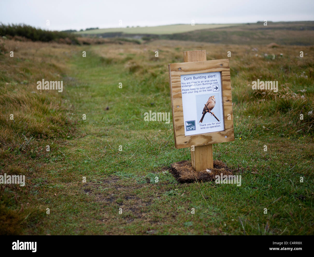 Corn Bunting alert sign. RSPB sign warning walkers away from nesting