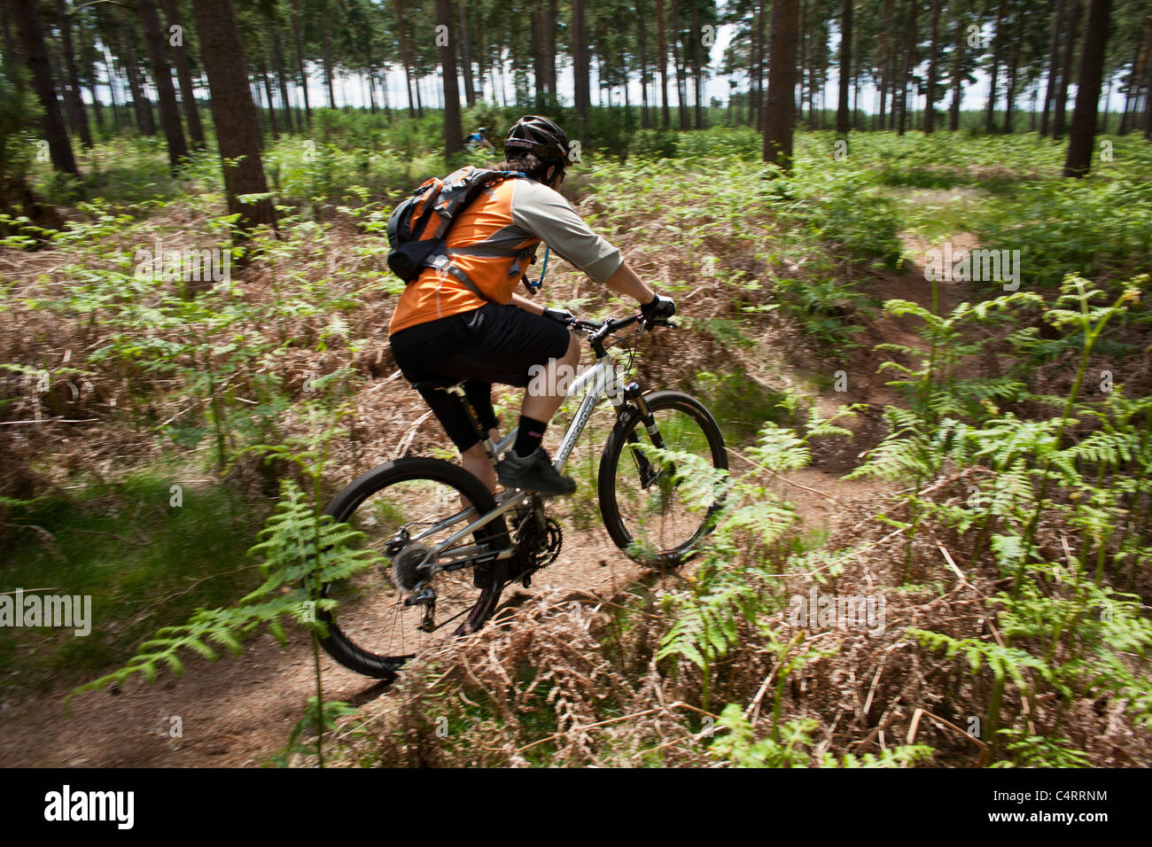 thetford forest biking