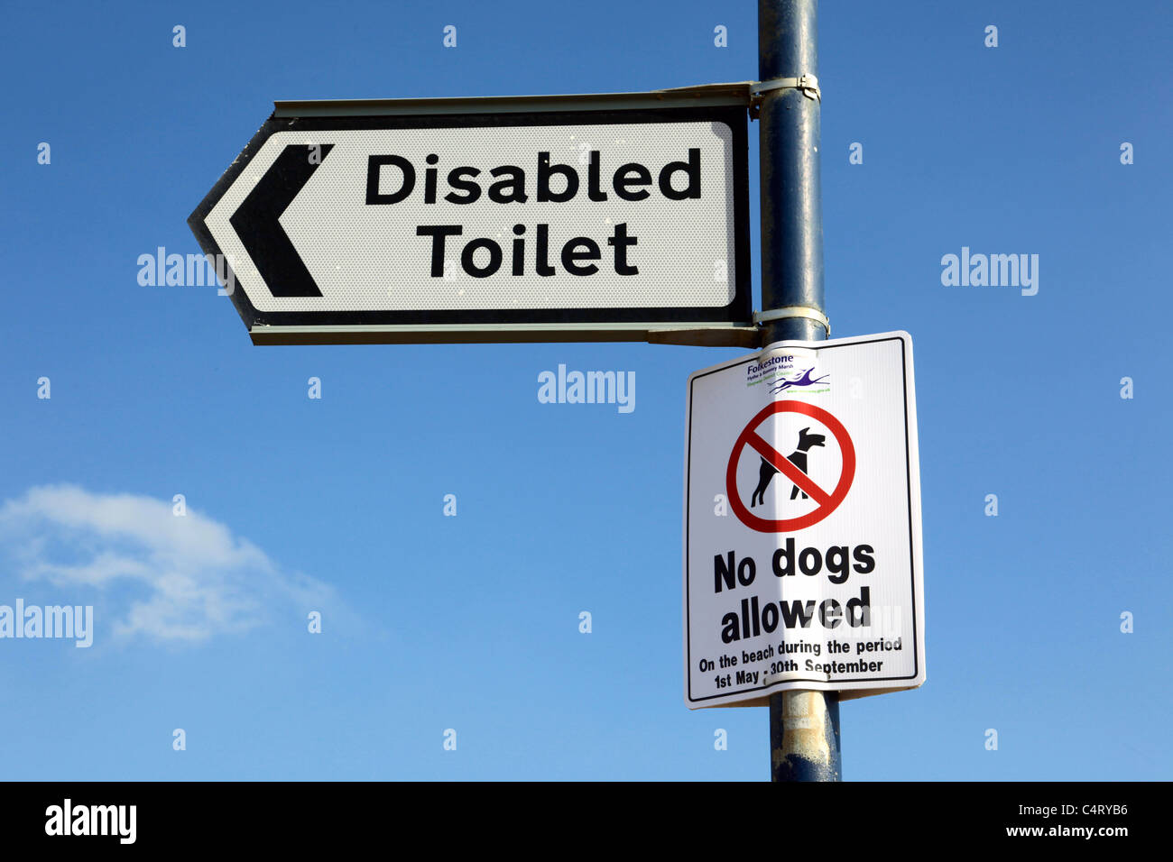 Disabled toilet and no dogs sign Hythe Kent Stock Photo