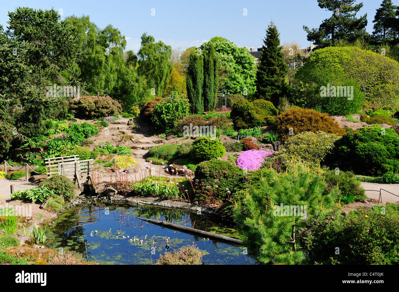 Spring colours Royal Botanic Garden, Edinburgh, Scotland, UK Stock Photo
