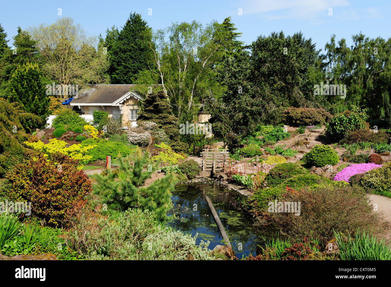 Spring colours Royal Botanic Garden, Edinburgh, Scotland, UK Stock Photo