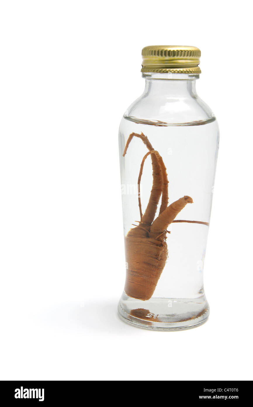 Ginseng in Bottle Stock Photo
