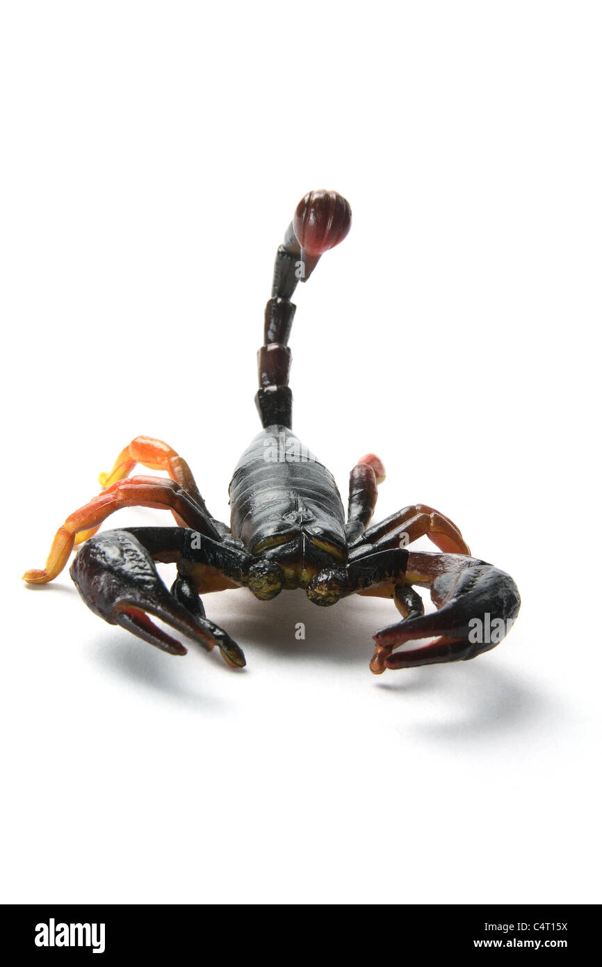 Plastic Scorpion Stock Photo