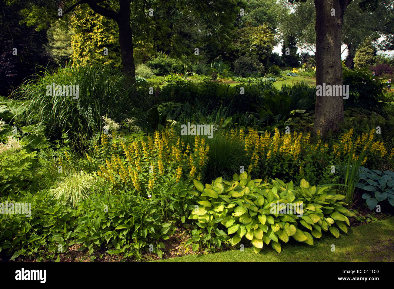 The Beth Chatto garden and nursery, Elmstead Market, Essex, England