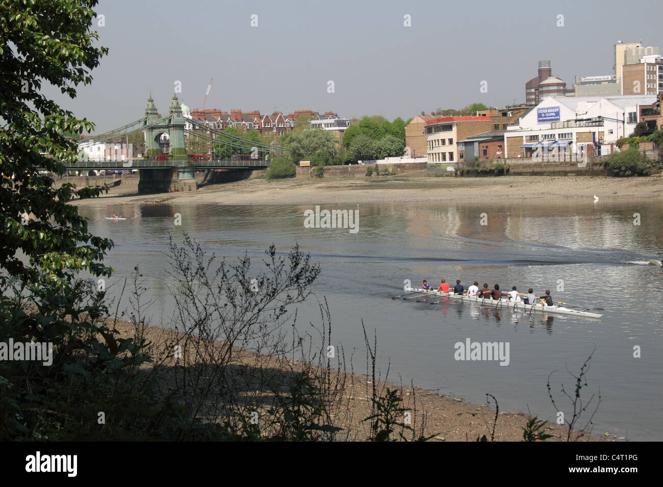 Rowing eight passing Hammersmith Bridge and Riverside Studios, River Thames, west London, England, Great Britain, UK, Europe Stock Photo