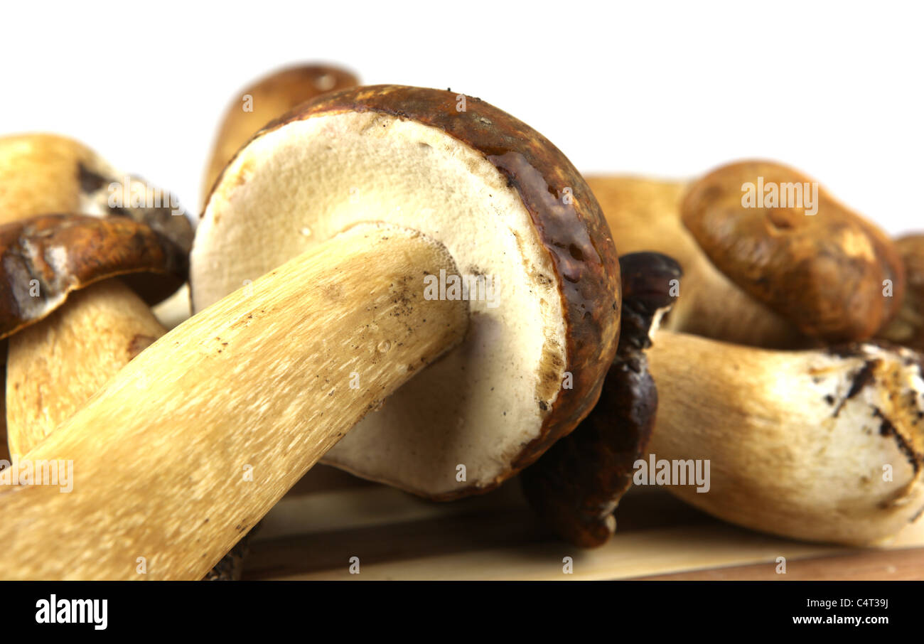 Mushrooms Porcini, Boletus edulis Stock Photo Alamy