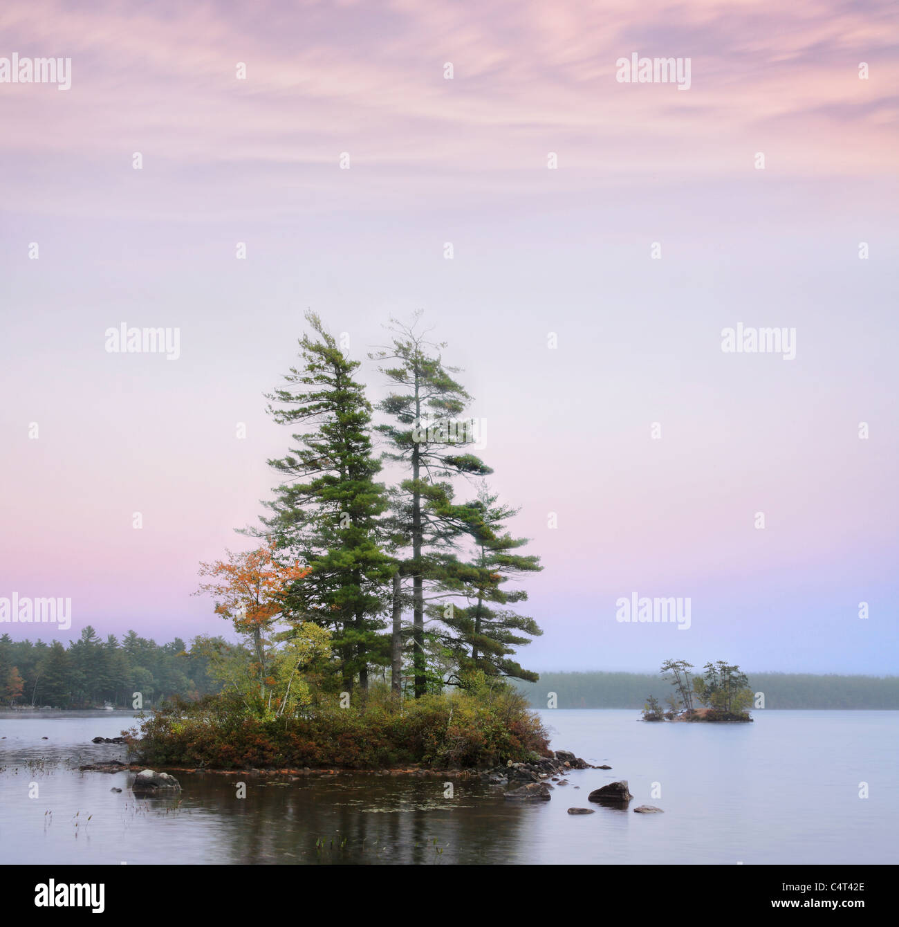 Maine lake moose hires stock photography and images Alamy