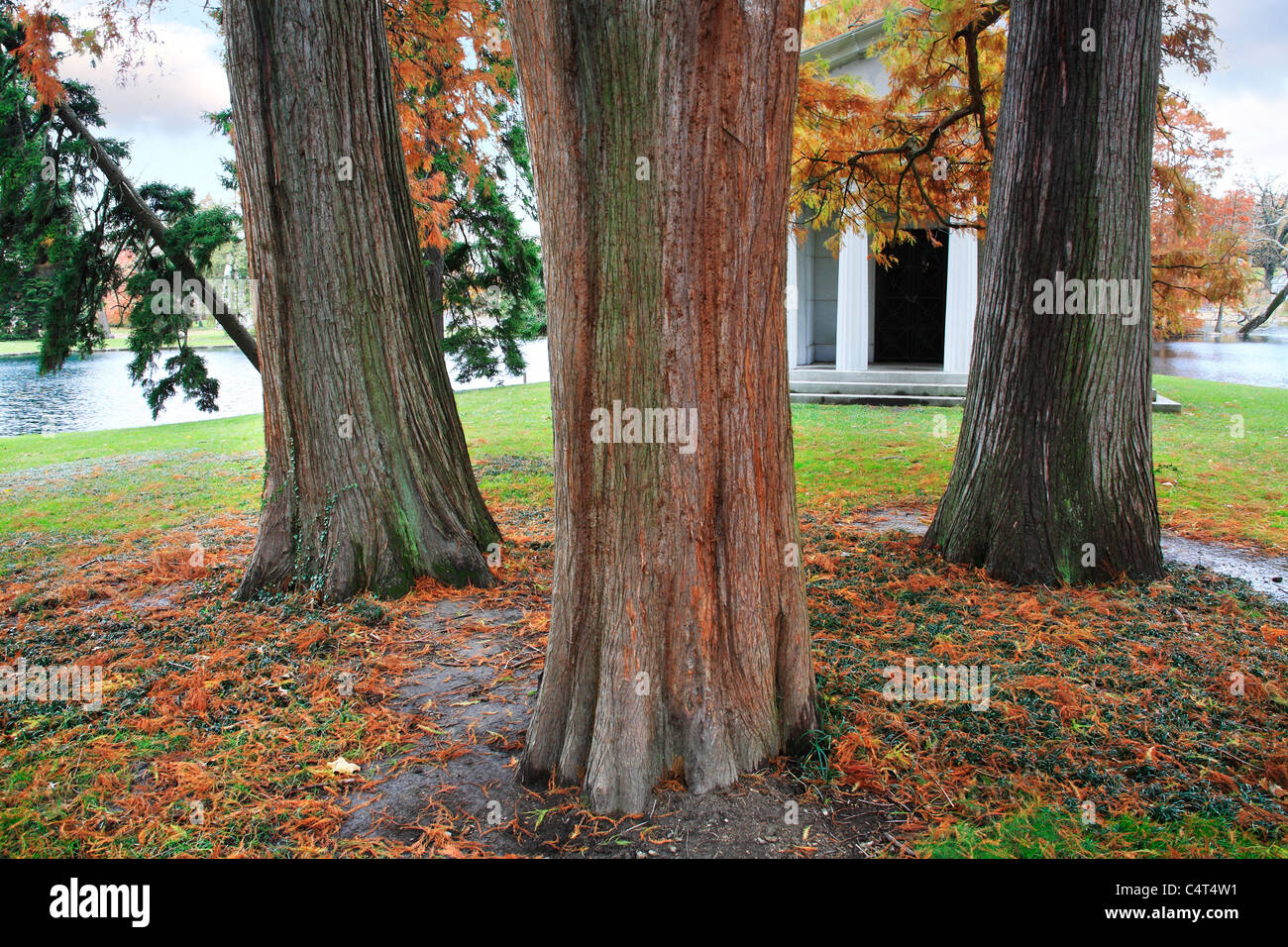 A Cemetery Mausoleum And Three Stately Trunks Of The Eastern Red Cedar Tree In Autumn, Southwestern Ohio,, USA Stock Photo