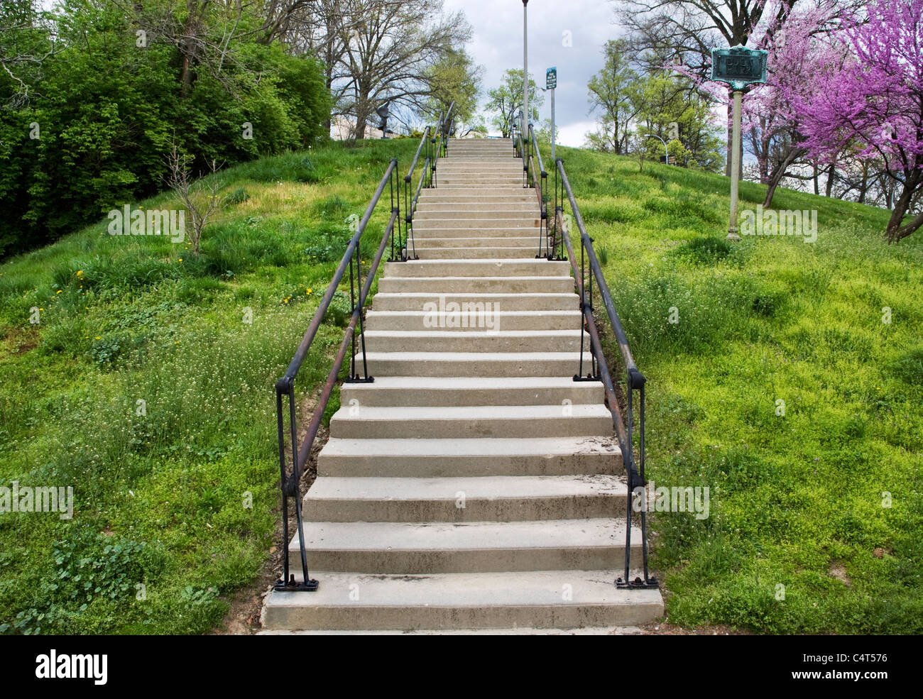 A Concrete Stairway Up A Hill In Eden Park During Springtime ...