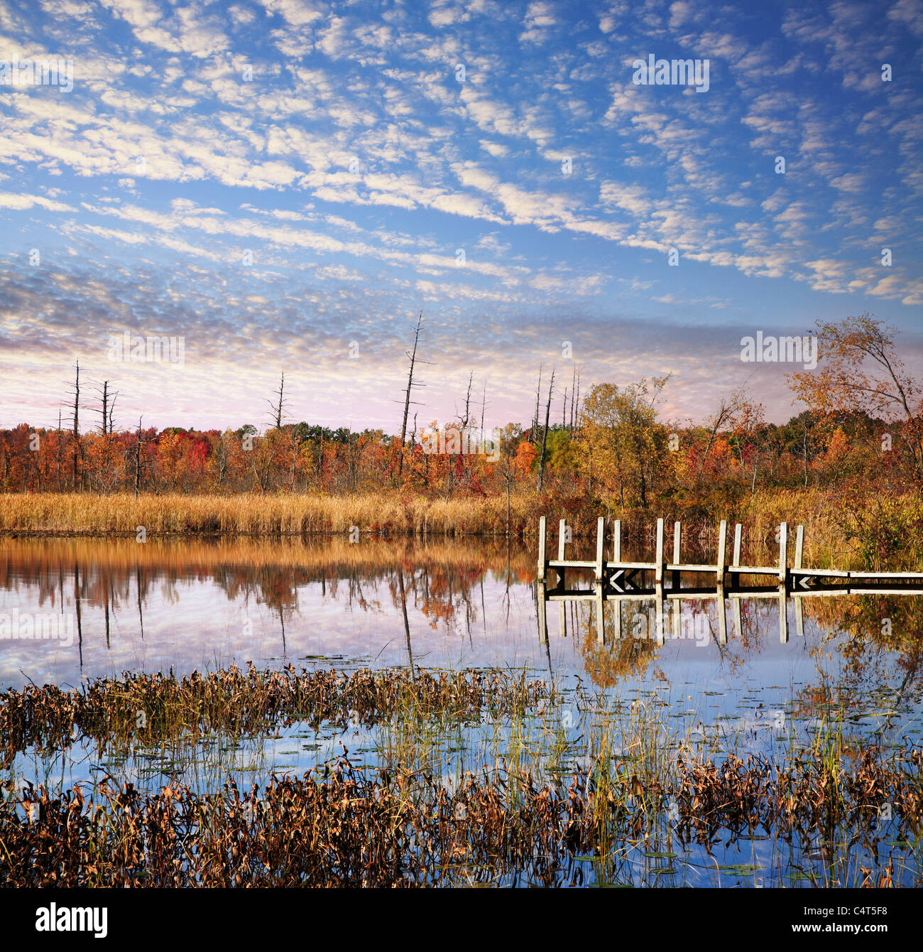 Lake michigan fishing boat hires stock photography and images Alamy