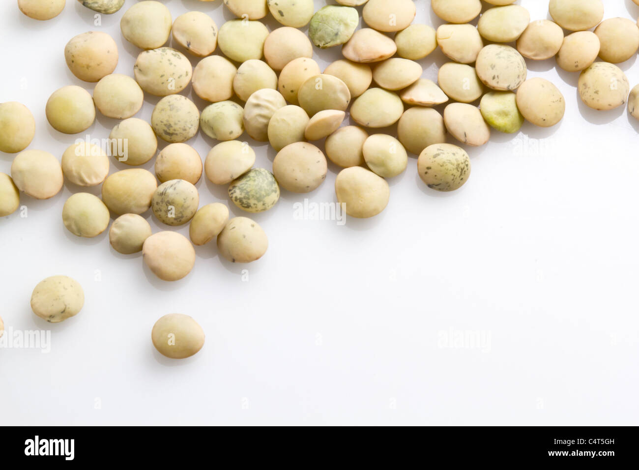 Linte whole lentil (Lens culinaris) seeds on a white background Stock Photo ...