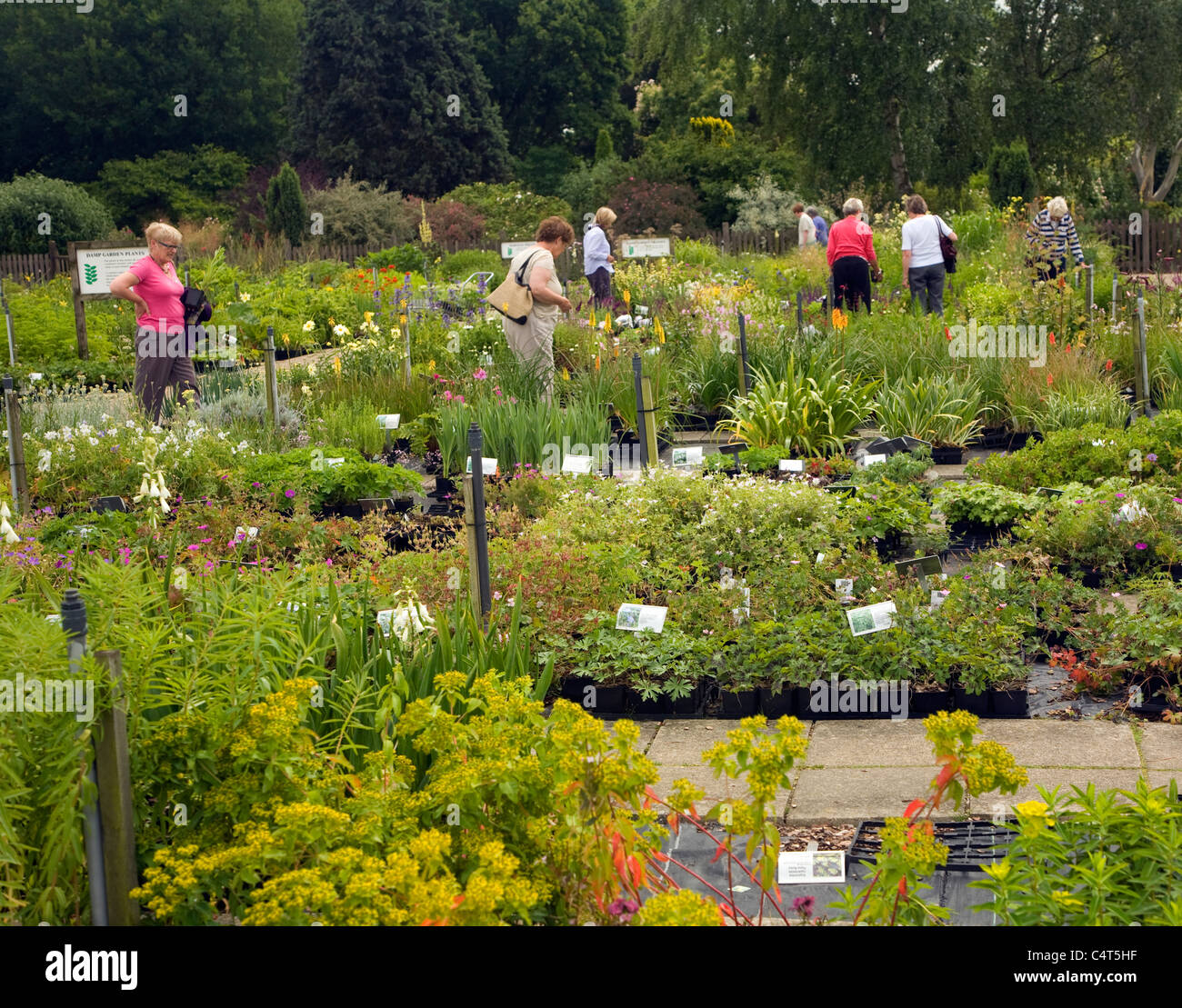 The Beth Chatto garden and nursery, Elmstead Market, Essex, England Stock Photo